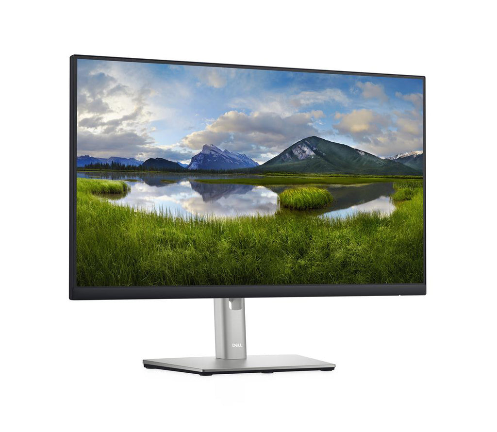 Dell P2422H silber schwarz 23,8 Zoll Full HD 1920x1080 DisplayPort HDMI VGA USB Höhenverstellbar