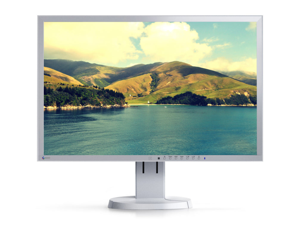 Eizo FlexScan EV2436WFS-GY LED IPS 24 Zoll WUXGA 1920x1200 DisplayPort DVI VGA Lichtgrau