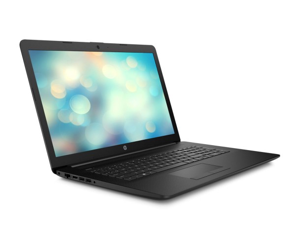 HP Laptop 17-ca2521ng 17,3 Zoll 1600x900 HD+ AMD Athlon Silver 1TB HDD 8GB Windows 10 Pro MAR Webcam